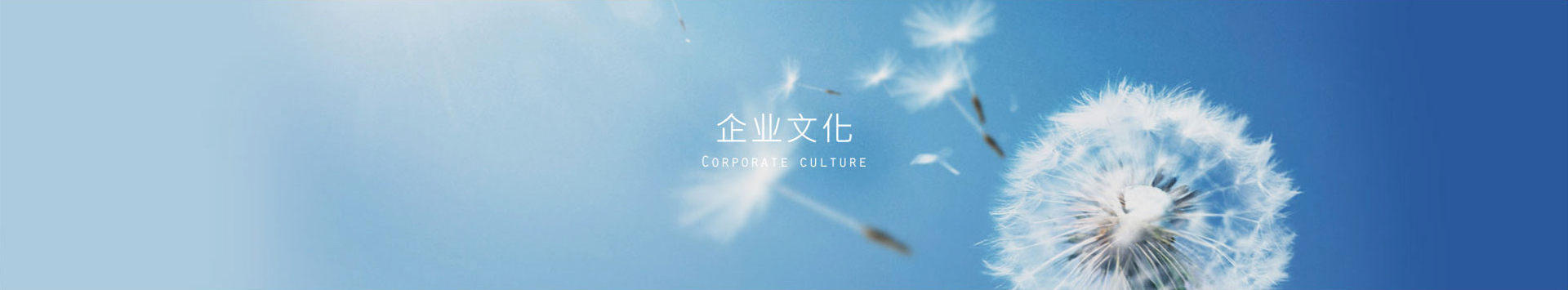 企业文化